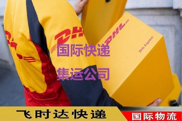 DHLʱݴʿUPS,FEDEX,EMSؿרݺSALҵ<a href=http://www.fsdgjkd.com target=_blank class=infotextkey>ʿݹ˾</a>