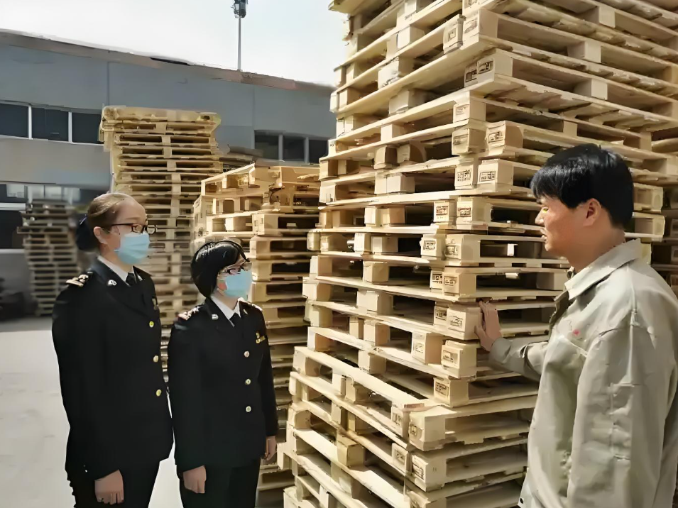 海运,木质包装查验