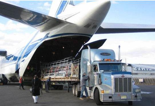 ���ʿ���