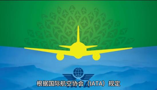 国际空运重货