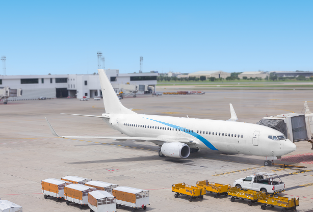 �����ٵ�