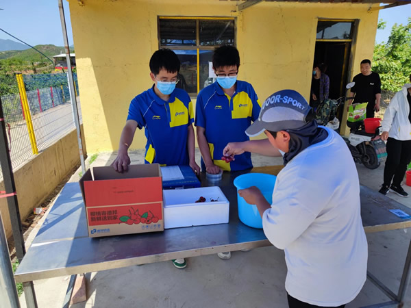 除了进一步加大樱桃种植规模外-cosco海派