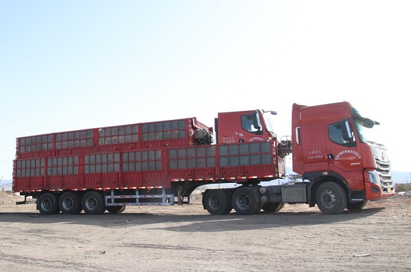 近期300台乘龙子母车批量交付山东某运输公司-DHL快递