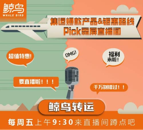 顺友物流旗下鲸鸟转运开播啦!期待与您,云端相约~ 顺友物流旗下鲸鸟转运开播啦!期待与您,云端相约~