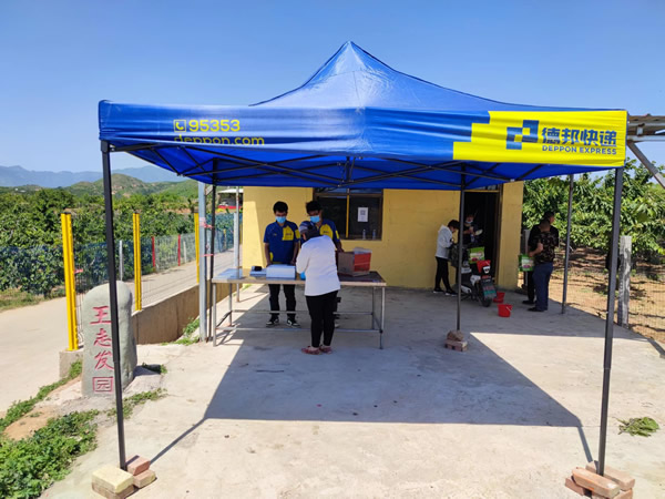 除了进一步加大樱桃种植规模外-cosco海派