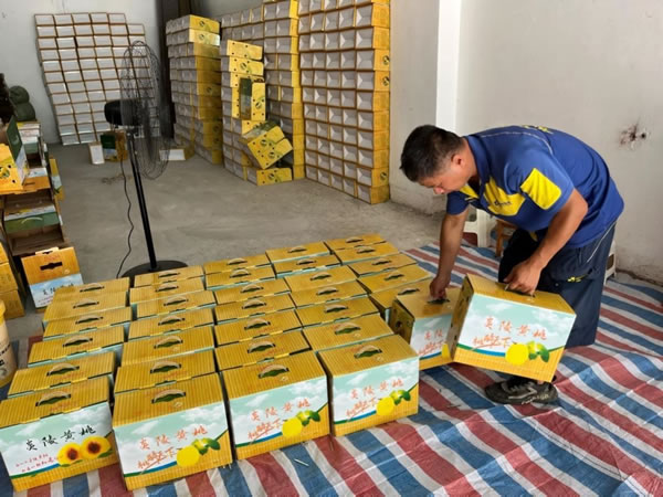 还要和时间赛跑-航运