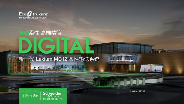 电源和现场总线通过互连元件构成回路-空运到迪拜